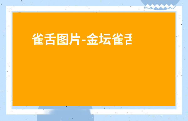 雀舌圖片-金壇雀舌禮盒圖片價(jià)格